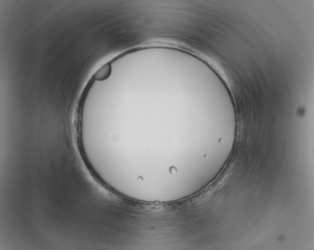 X0000116651003201001111225