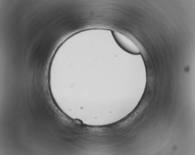 X0000116651004201001111225