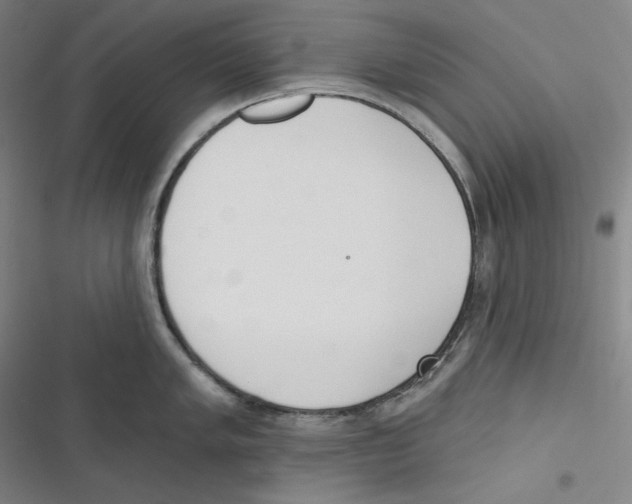 X0000116651005201001111225