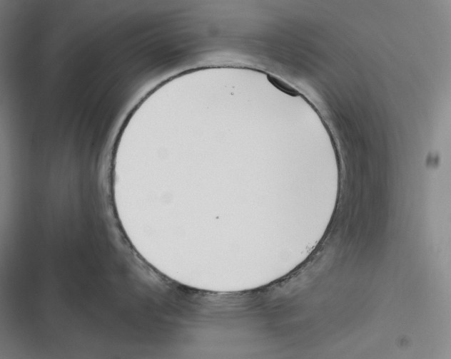 X0000116651008201001111225