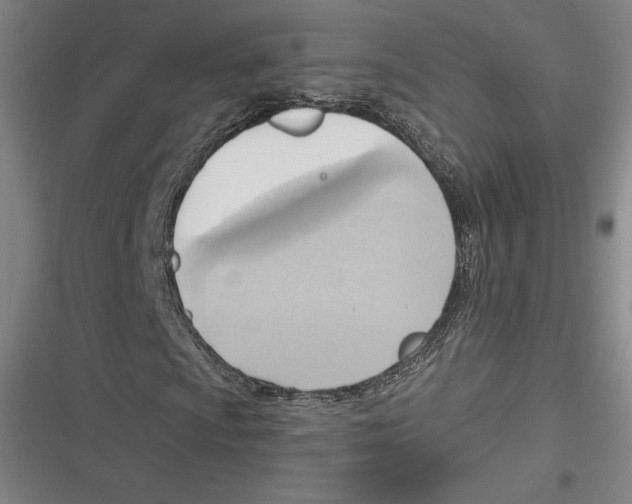 X0000116651009201001111224