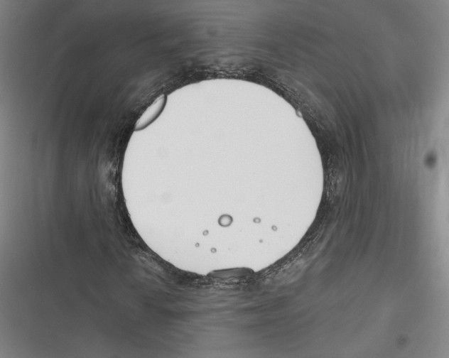 X0000116651010201001111224