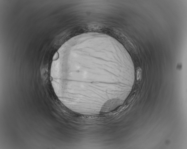 X0000116651011201001111224