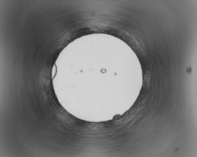 X0000116651012201001111224