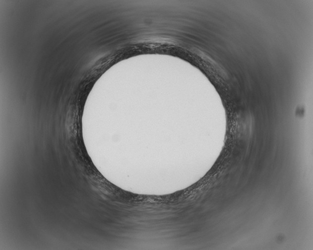 X0000116651014201001111224