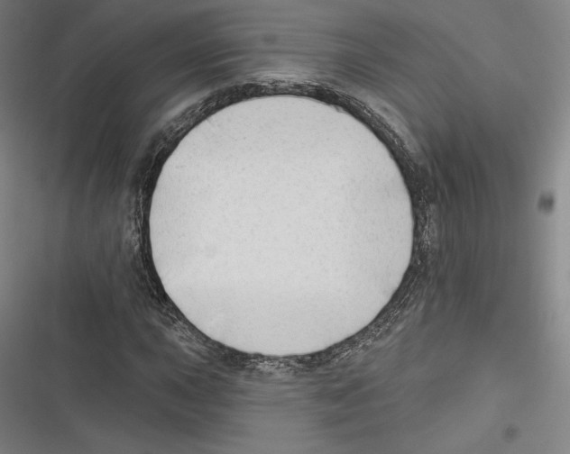 X0000116651015201001111224