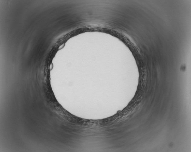 X0000116651016201001111224