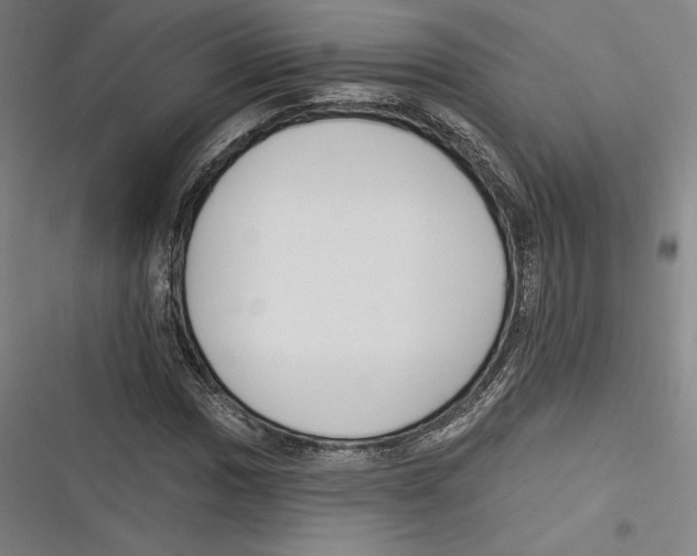 X0000116651017201001111224