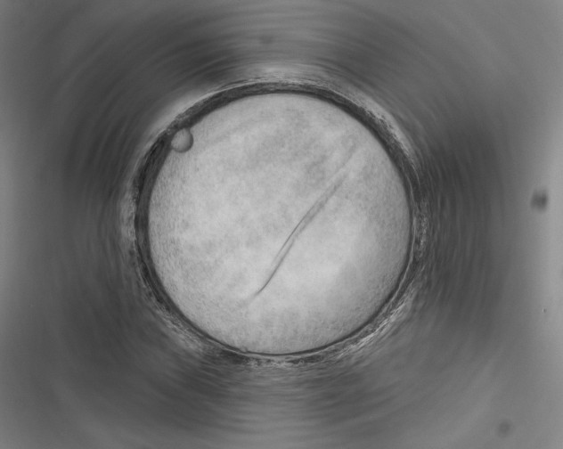 X0000116651019201001111224