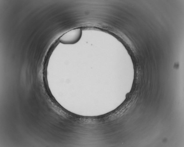 X0000116651020201001111224