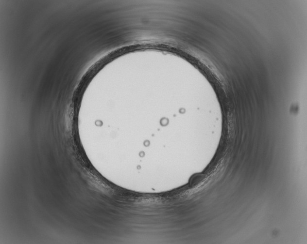 X0000116651021201001111224