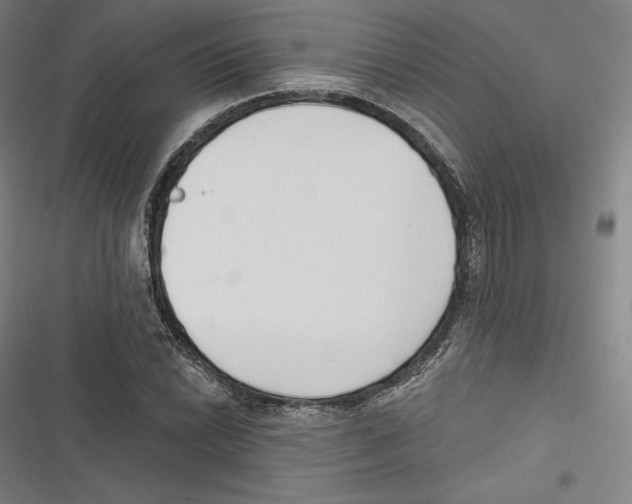 X0000116651022201001111224