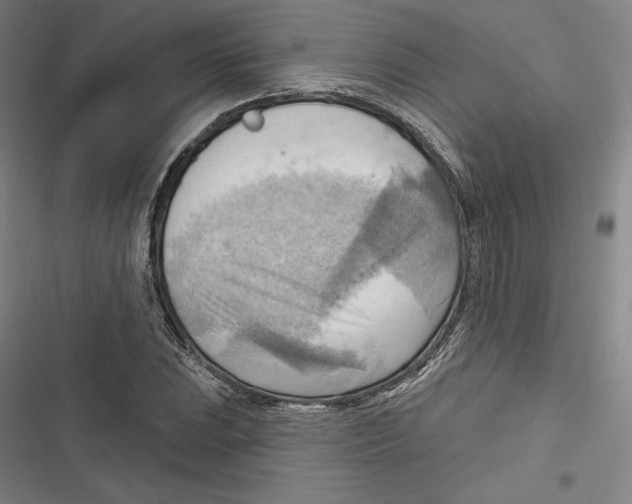 X0000116651023201001111224