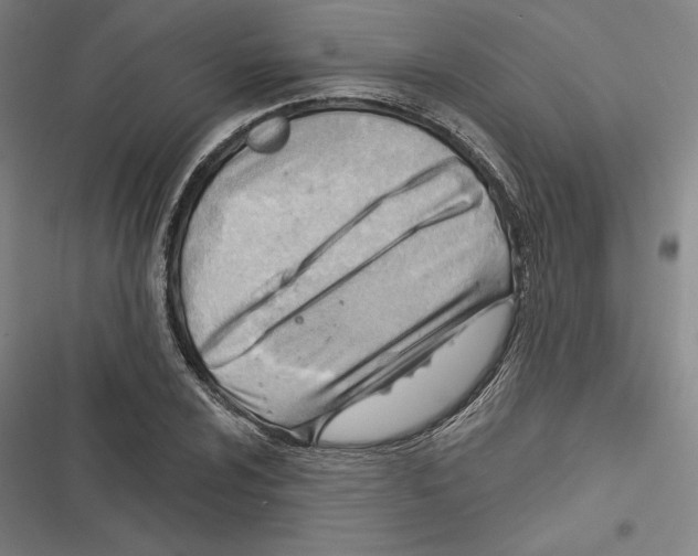 X0000116651024201001111224