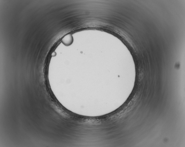 X0000116651026201001111225