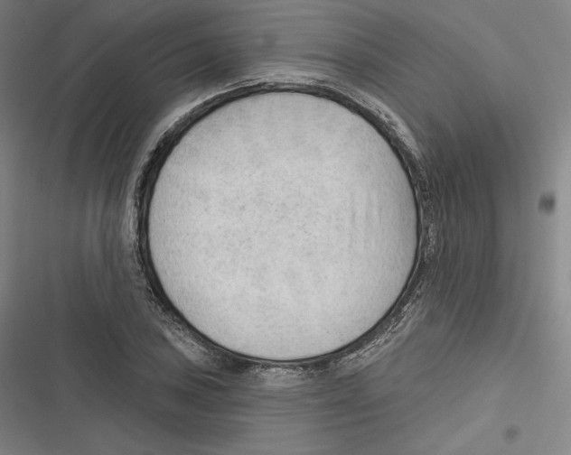 X0000116651027201001111225