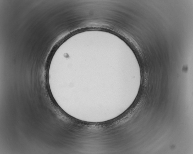 X0000116651029201001111225