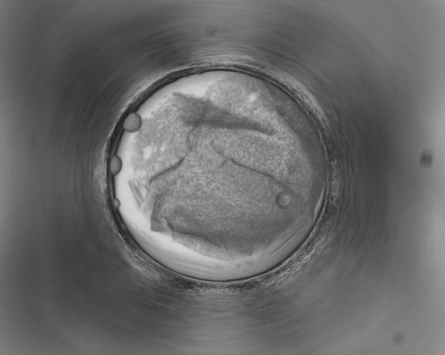 X0000116651031201001111225