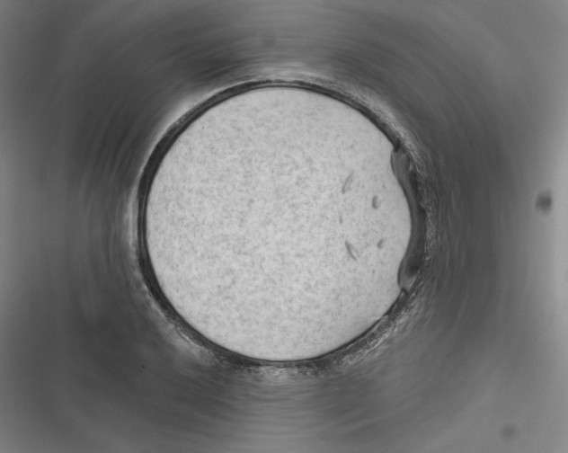 X0000116651032201001111225