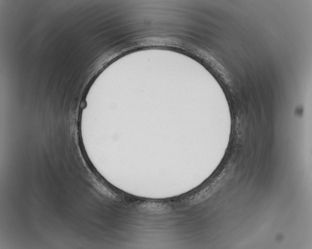 X0000116651033201001111225