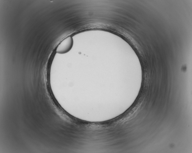 X0000116651034201001111225