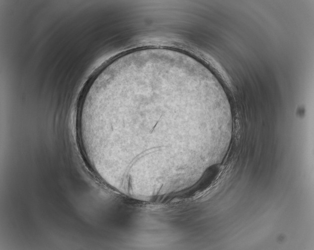 X0000116651035201001111225