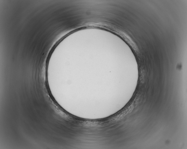 X0000116651036201001111225