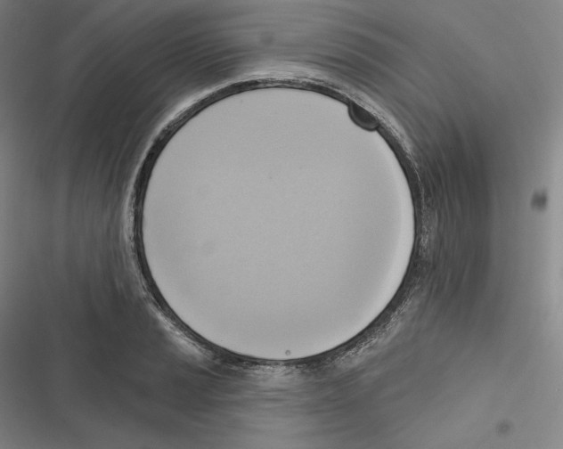 X0000116651037201001111225