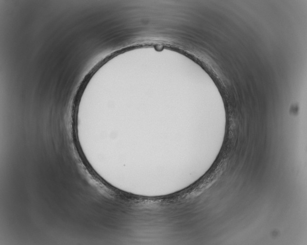 X0000116651038201001111225