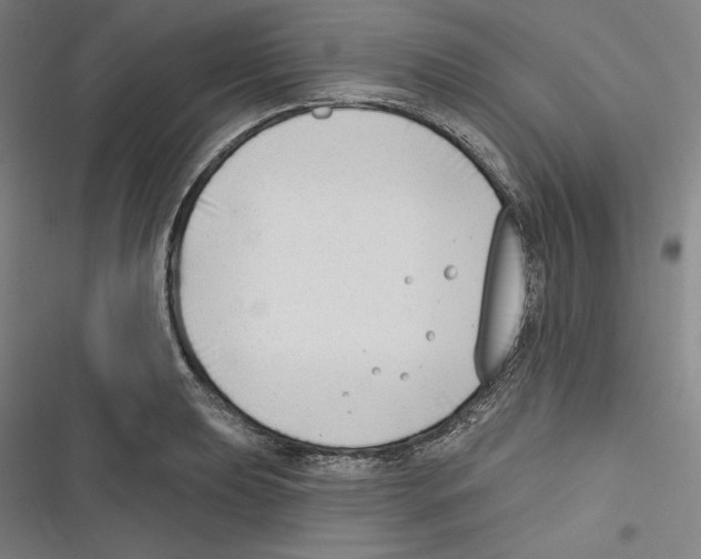 X0000116651039201001111225