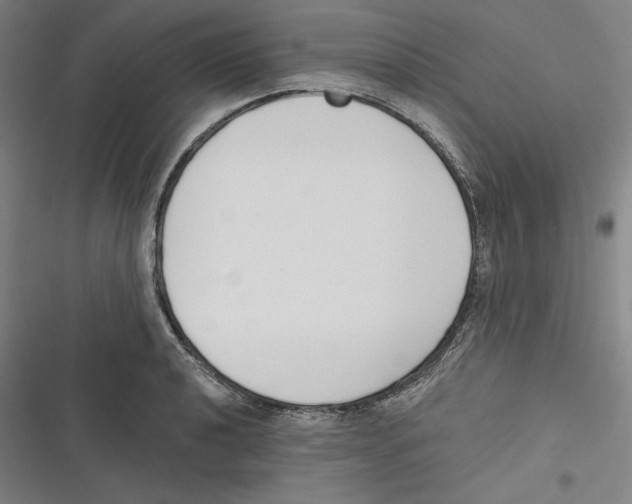 X0000116651040201001111225