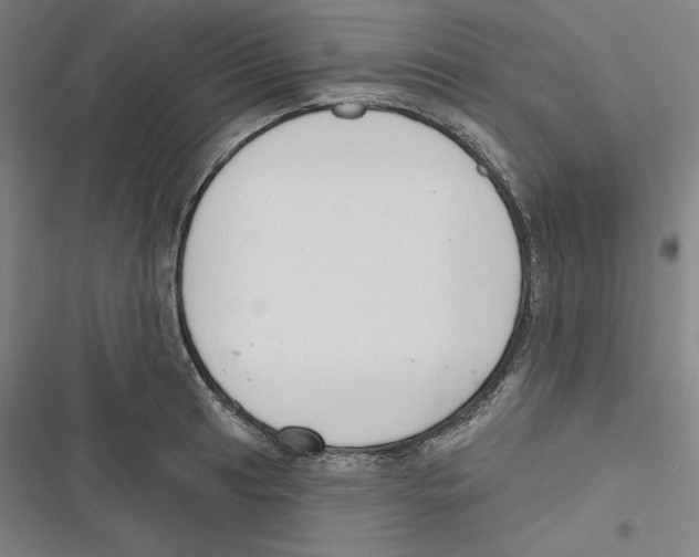 X0000116651041201001111225