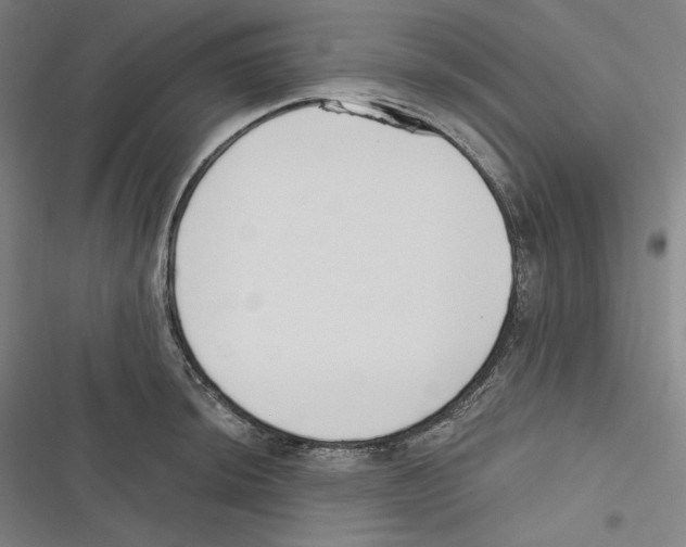 X0000116651044201001111225