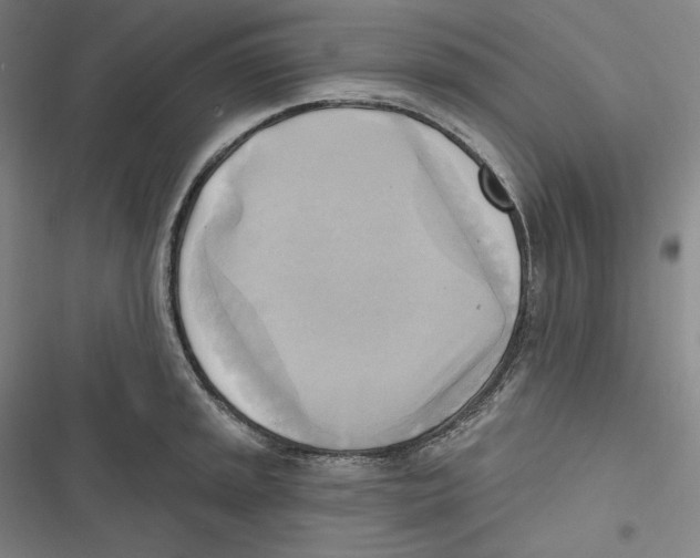 X0000116651045201001111225