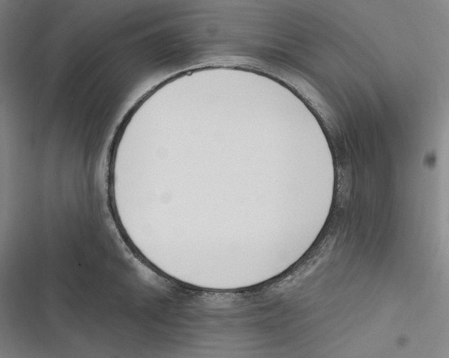 X0000116651046201001111225