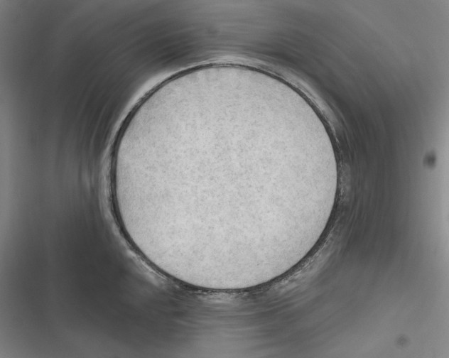 X0000116651048201001111225