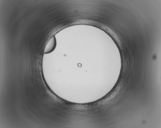 X0000116651049201001111225