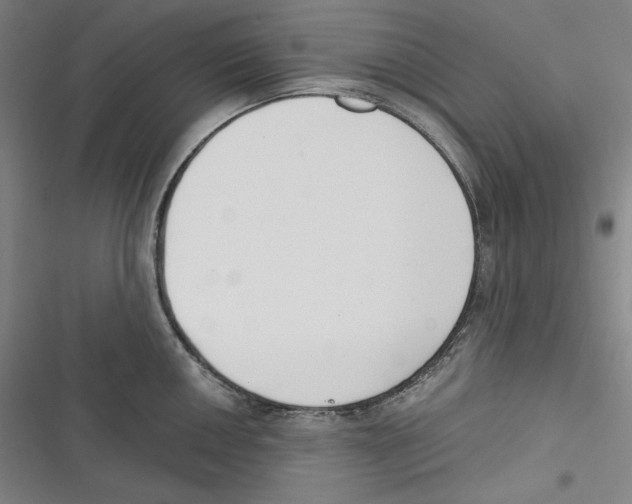 X0000116651050201001111225