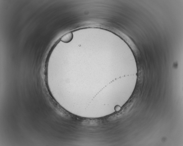 X0000116651051201001111225