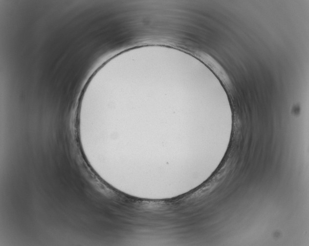 X0000116651052201001111225