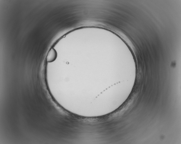 X0000116651053201001111225