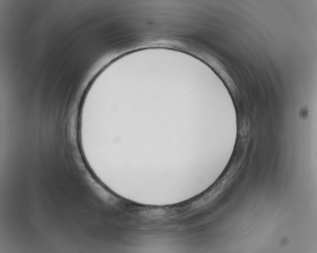 X0000116651054201001111225