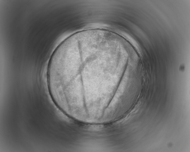 X0000116651055201001111225