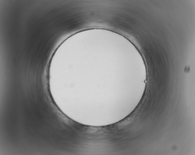 X0000116651056201001111225