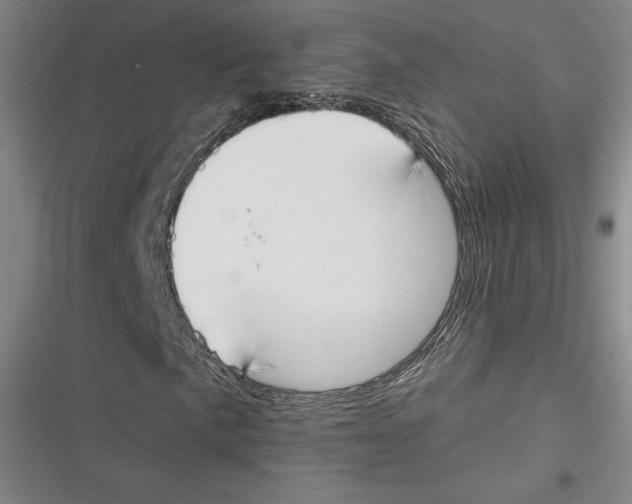 X0000116651057201001111224