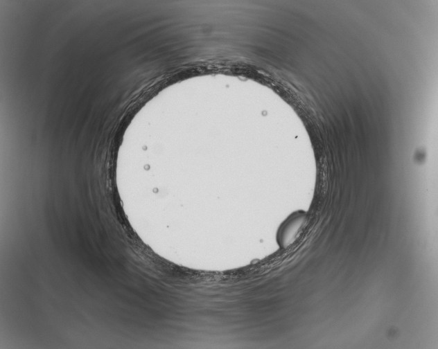 X0000116651060201001111224