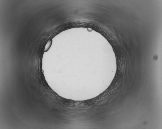 X0000116651061201001111224