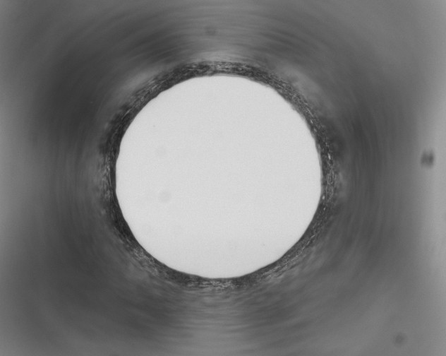 X0000116651062201001111224