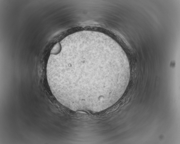 X0000116651063201001111224