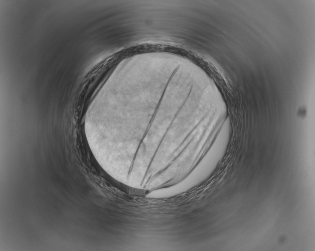 X0000116651064201001111224